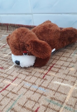köpekcik