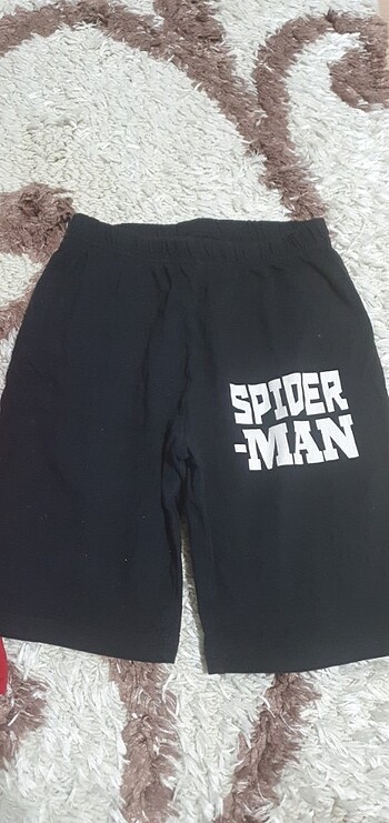 Spider-Man spiderman