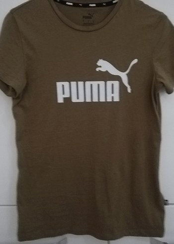 Puma s