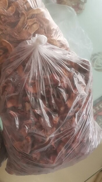 xs Beden siyah Renk Toplu