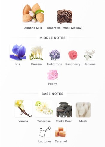 BELIGA Kadın Parfüm - Rolling in love - Görsel 3