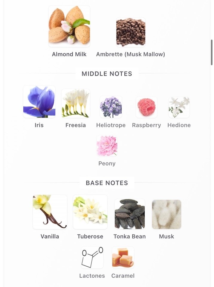 BELIGA Kadın Parfüm - Rolling in love - Görsel 3