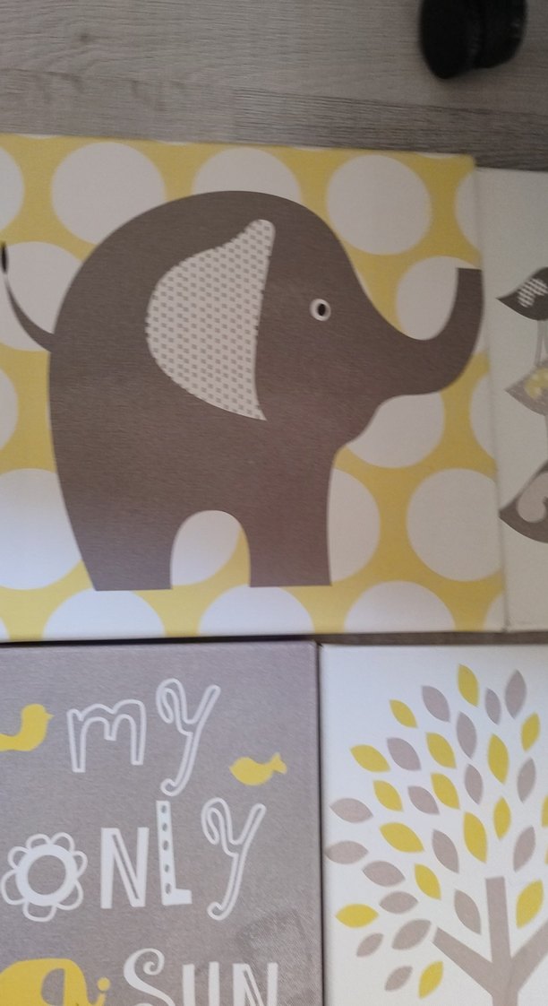 Hayvan ve Doğa Temalı canvas tablo - Görsel 3