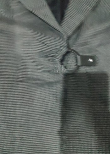 Gri kadın Regular Fit Düğmeli Takım Elbise - Görsel 2