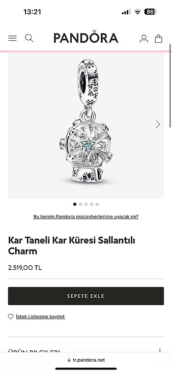 Kar küresi charm