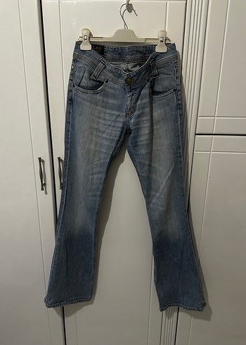 Lee 29