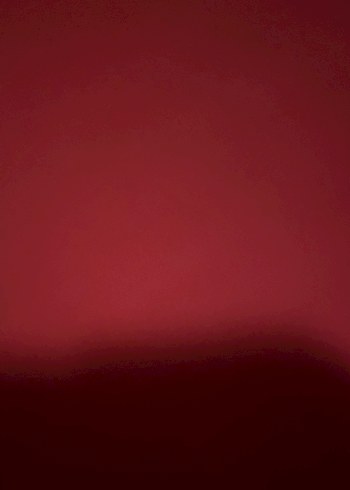 Bordo Drapeli V Yaka Kolsuz Bluz - Görsel 3