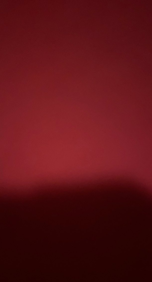 Bordo Drapeli V Yaka Kolsuz Bluz - Görsel 3