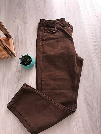 Kot pantalon
