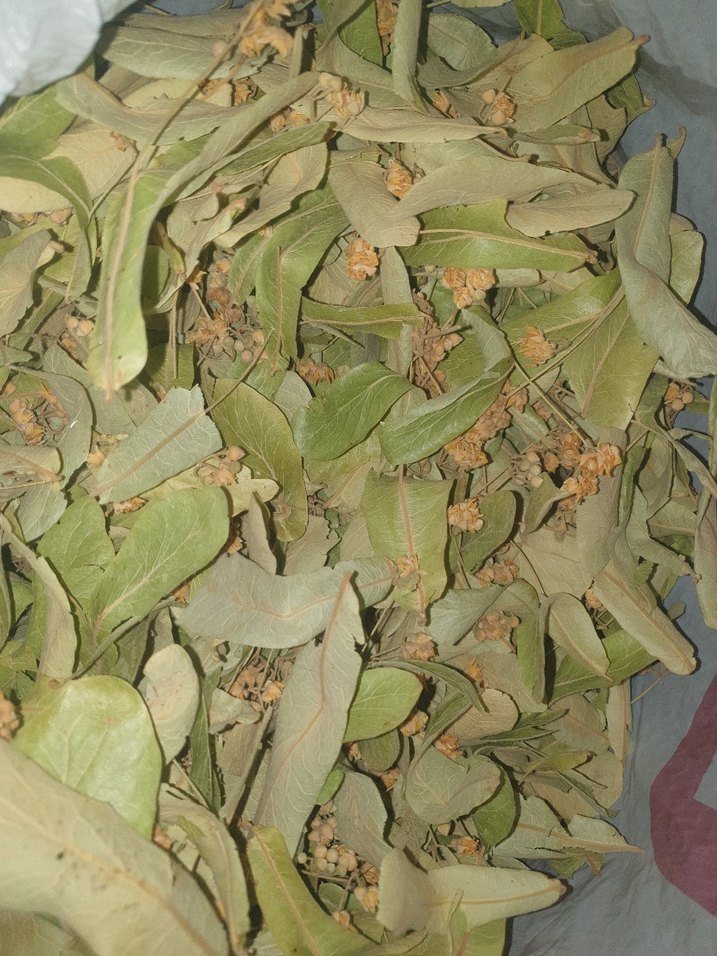 Kurutulmuş Ihlamur Yaprakları - Görsel 2