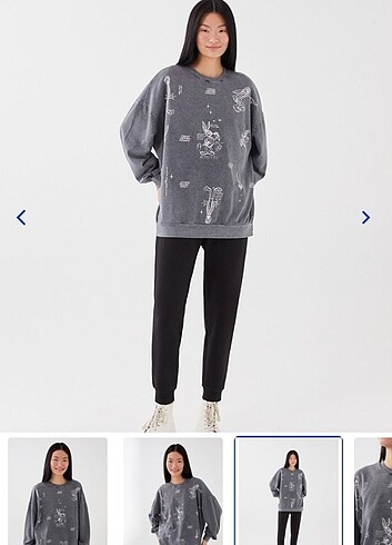 LC Waikiki Lcw Sweatshirt