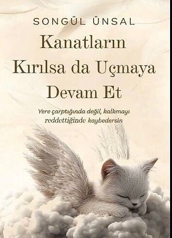 Kanatların kırılsa da uçmaya devam et