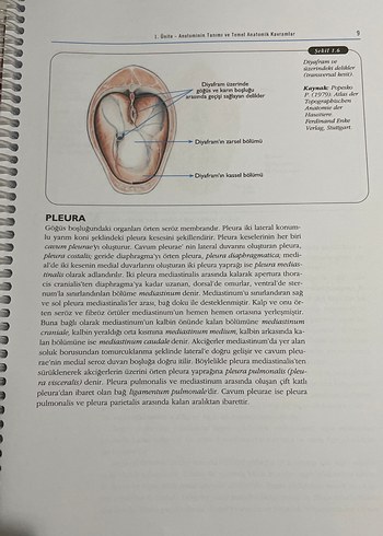 Temel Veteriner Anatomi Ders Kitabı - Görsel 2