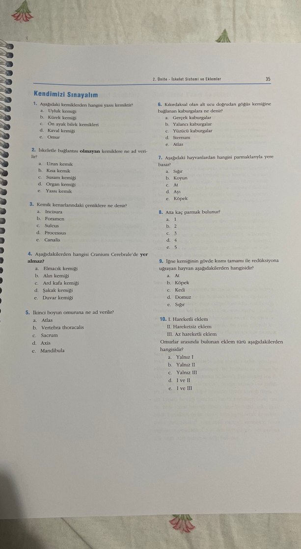 Temel Veteriner Anatomi Ders Kitabı - Görsel 3