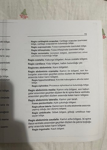 Veteriner Anatomi - Prof. Dr. Nejdet Dursun - Görsel 10