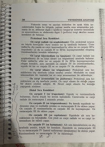 Veteriner Anatomi - Prof. Dr. Nejdet Dursun - Görsel 6