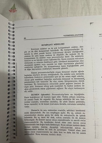 Veteriner Anatomi - Prof. Dr. Nejdet Dursun - Görsel 3