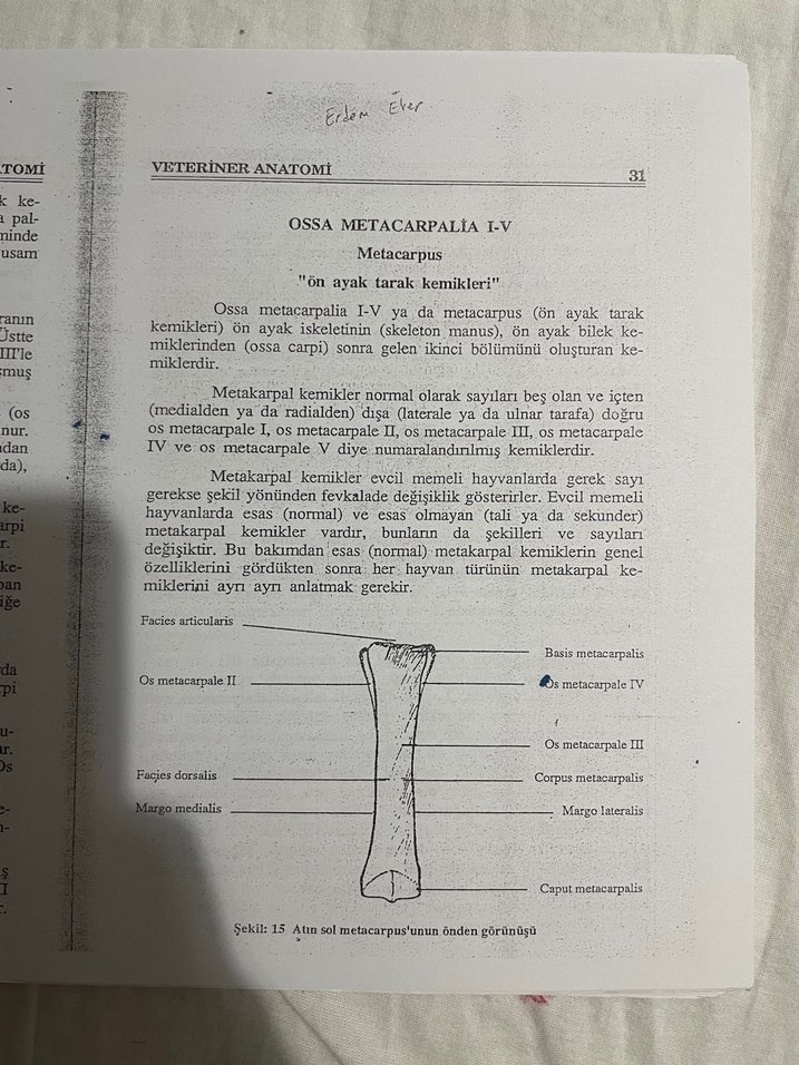Veteriner Anatomi - Prof. Dr. Nejdet Dursun - Görsel 5