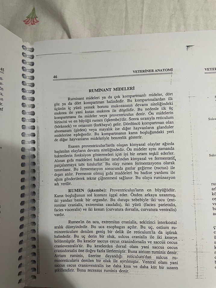 Veteriner Anatomi - Prof. Dr. Nejdet Dursun - Görsel 3