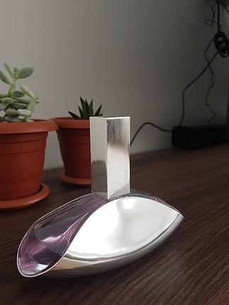 Calvin Klein Euphoria Edp