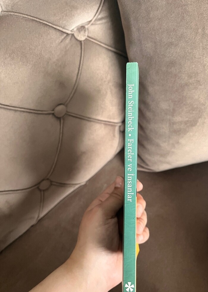 Kitap-Fareler ve insanlar - Görsel 2