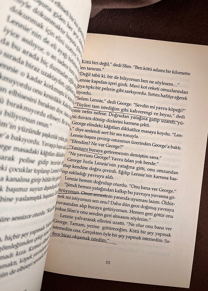 Kitap-Fareler ve insanlar - Görsel 3