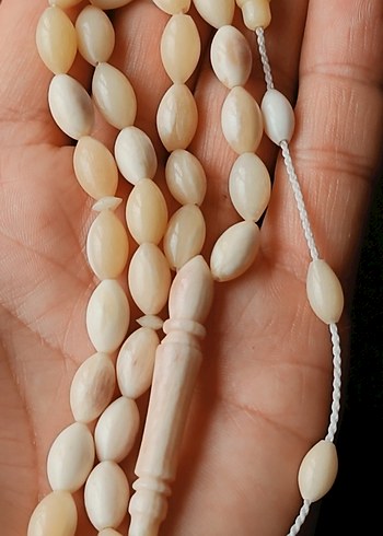 DEVE KUŞU KEMİĞİ TESBİH - Görsel 3