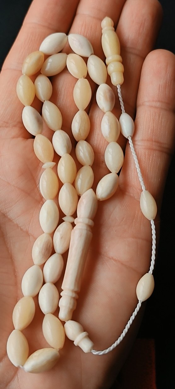 DEVE KUŞU KEMİĞİ TESBİH - Görsel 3