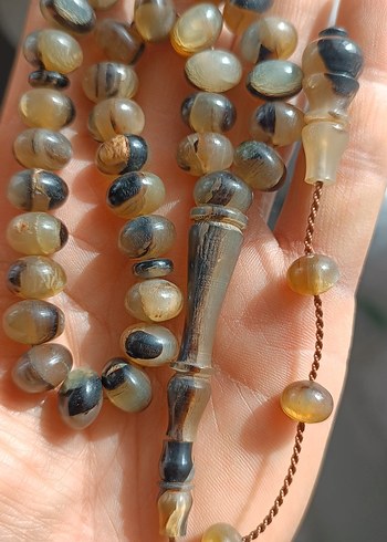 Şişirme kaplumbağa kabuğu - Görsel 6