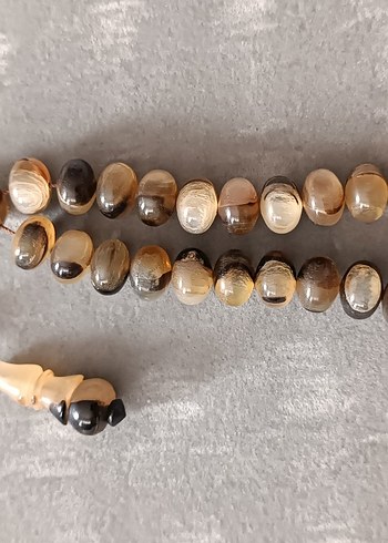 Şişirme kaplumbağa kabuğu - Görsel 7