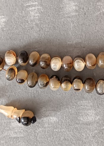 Şişirme kaplumbağa kabuğu - Görsel 8