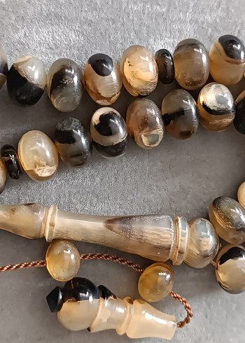 Şişirme kaplumbağa kabuğu - Görsel 2