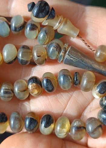 Şişirme kaplumbağa kabuğu - Görsel 3