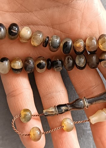 Şişirme kaplumbağa kabuğu - Görsel 5