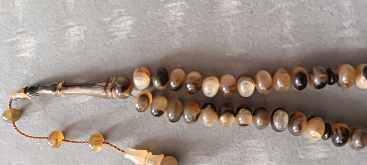 Şişirme kaplumbağa kabuğu - Görsel 4