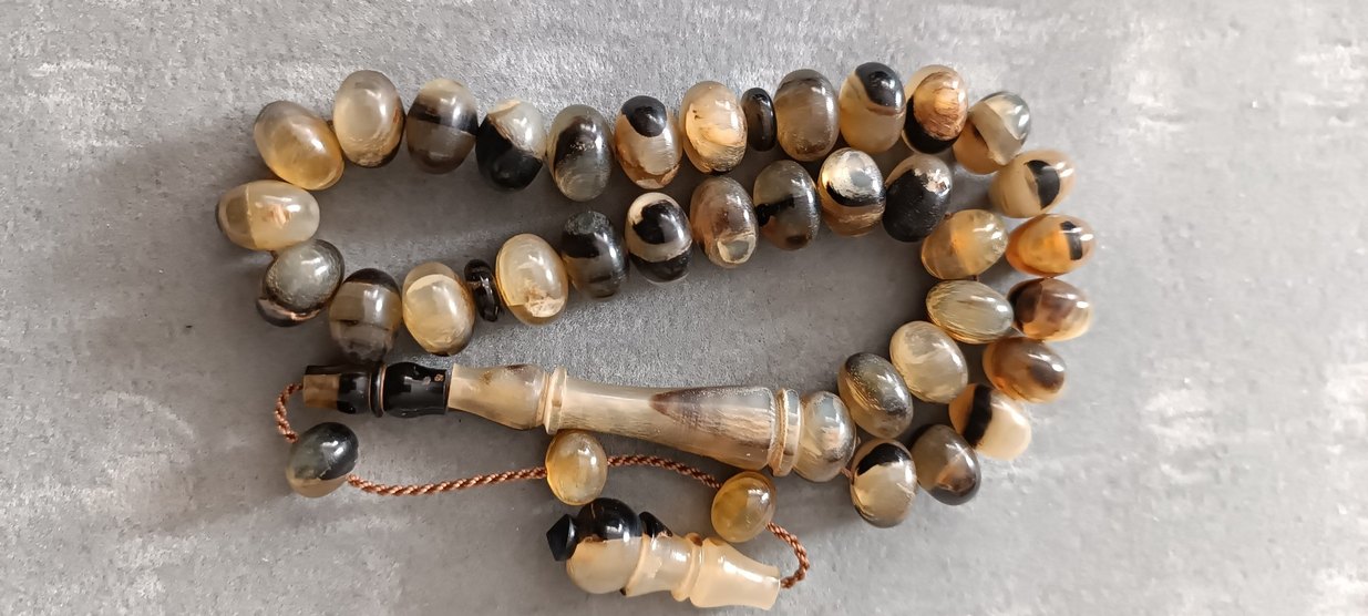 Şişirme kaplumbağa kabuğu - Görsel 2