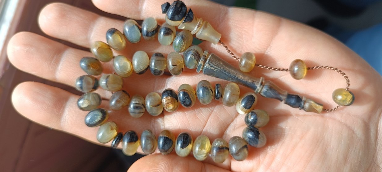 Şişirme kaplumbağa kabuğu - Görsel 3