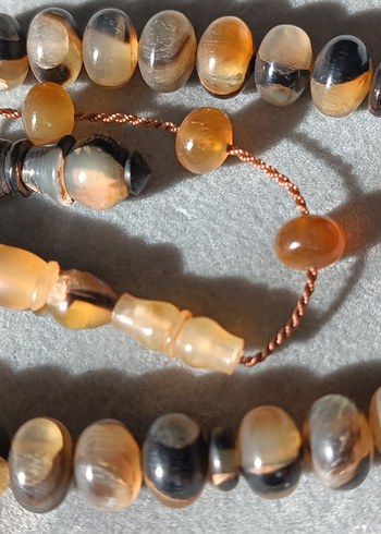 Şişirme kaplumbağa kabuğu - Görsel 2