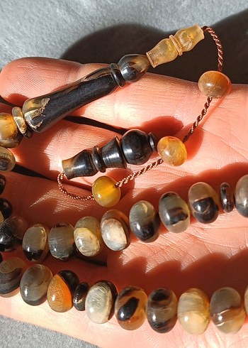 Şişirme kaplumbağa kabuğu - Görsel 3