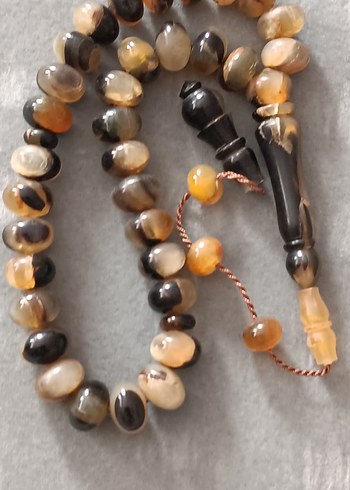 Şişirme kaplumbağa kabuğu - Görsel 5