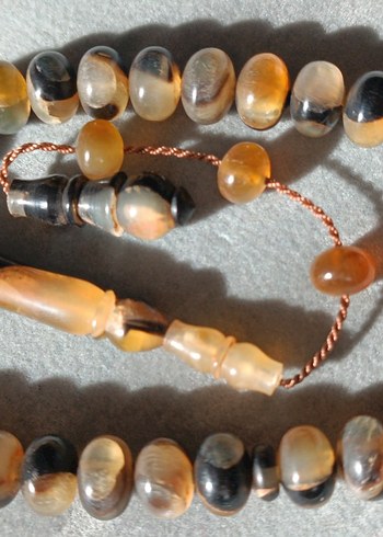 Şişirme kaplumbağa kabuğu - Görsel 4