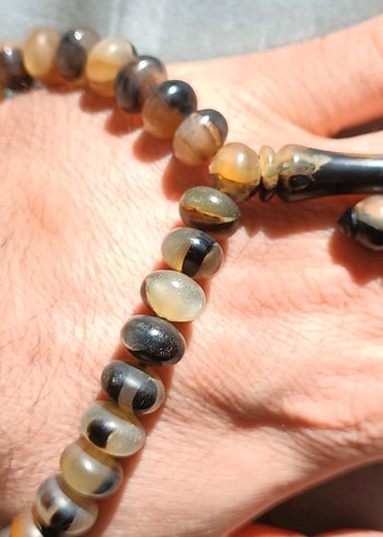 Şişirme kaplumbağa kabuğu - Görsel 7