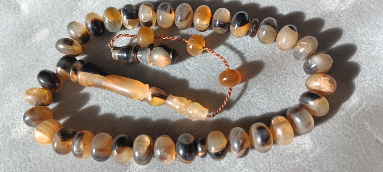 Şişirme kaplumbağa kabuğu - Görsel 2