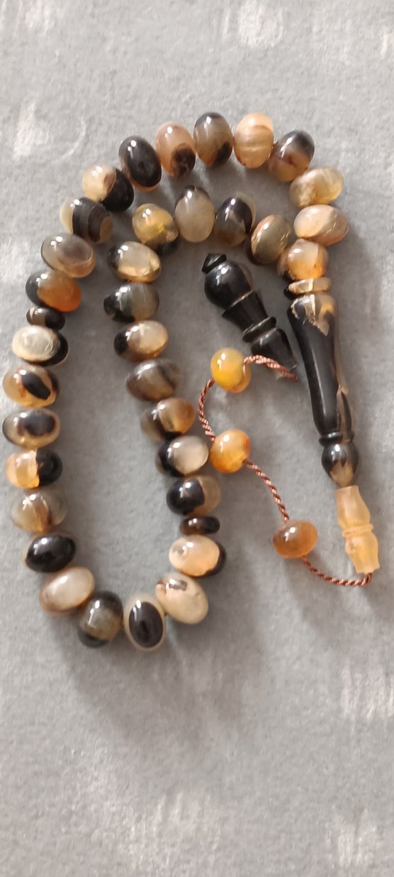 Şişirme kaplumbağa kabuğu - Görsel 5