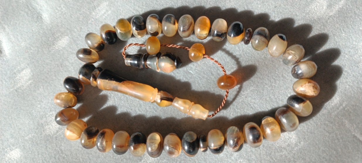 Şişirme kaplumbağa kabuğu - Görsel 4