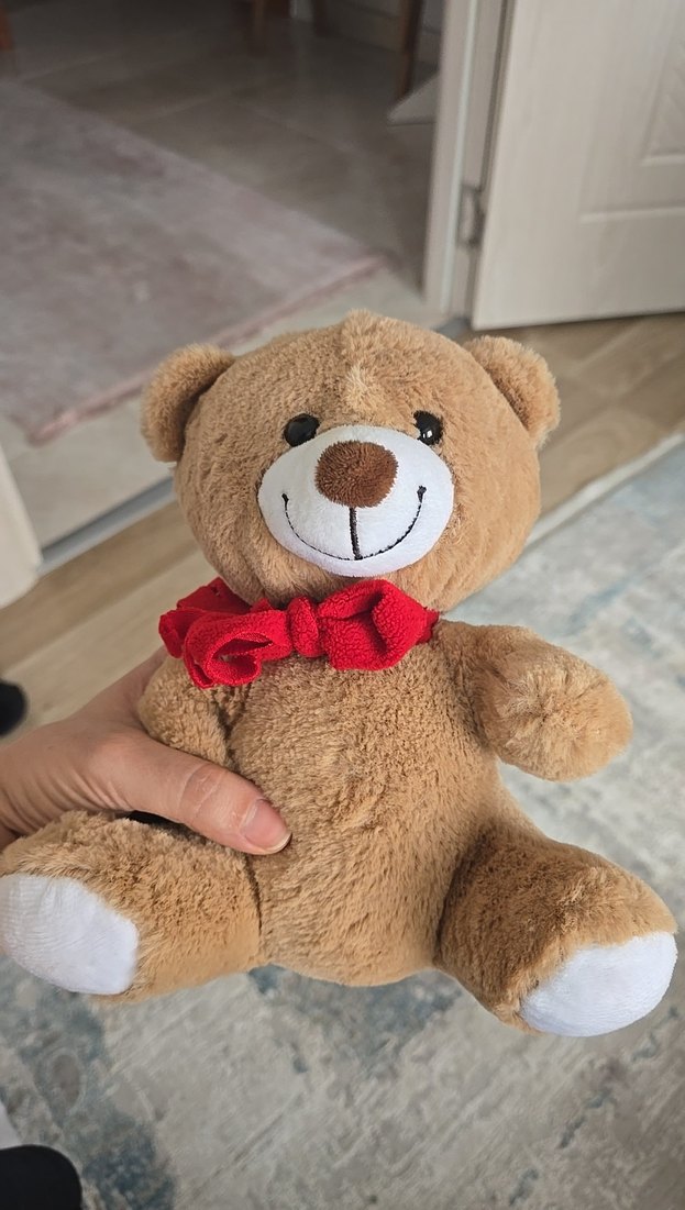 Peluş Oyuncaklar - Görsel 2