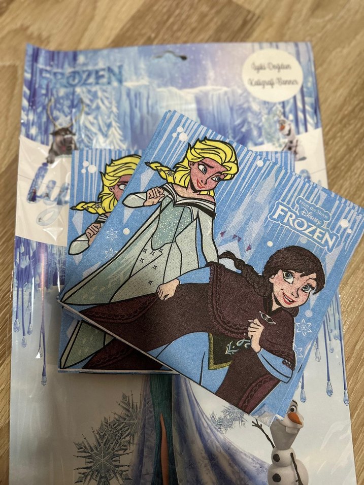 Mavi Frozen Elsa Temalı Parti Seti - Görsel 3