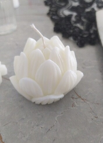 Lotus mum