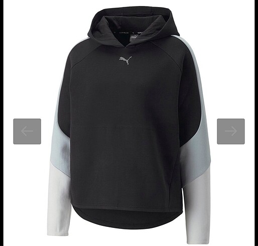 Evostripe Hoodie