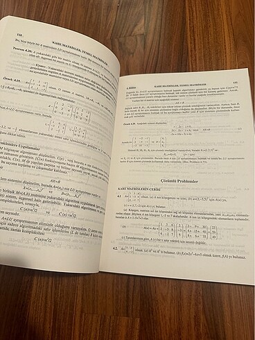 Beden Renk Lineer Cebir Kitap-Schaum?s Outlines